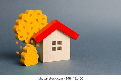 Wooden House And Yellow Autumn Fall Trees. Environmentally Friendly Home. Modern Technology In Construction. Quiet Cozy, Comfortable Affordable Housing. Housing Suburbs