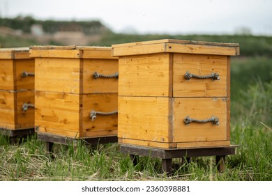 Wooden houses for bees on a bee farm, a beehive in an apiary.