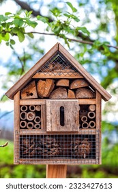 Wooden insect house in summer green garden. Wood Bugs hotel in spring backyard, nest sites for solitary bees, wasps, butterflies, ladybug. Small shelter for wild insects in public park in town
