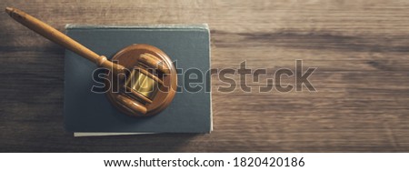 Wooden judges gavel lying on a law book