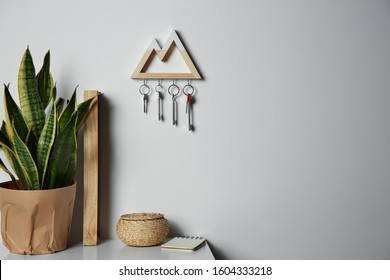 Wooden key holder on light wall indoors. Space for text