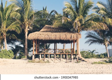 535 Coconut Kiosk Images, Stock Photos & Vectors | Shutterstock