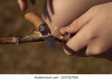 Wooden Knife Stuck To Wood