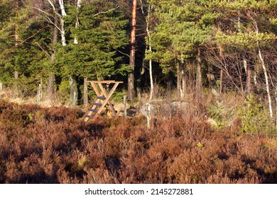 Wooden Ladder To Cross Field Fence In The Forest