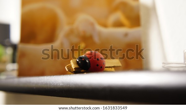 Wooden Ladybug, lady beetle,\
lady bird. Wooden clip. Two loving sheeps on background. Luck,\
lucky.