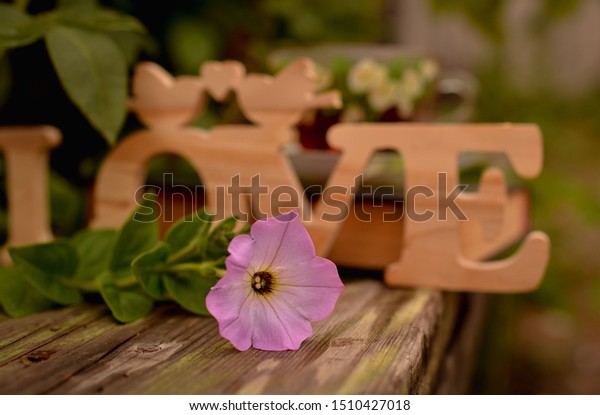 Wooden Letters Garden On Bench Words Stock Image Download Now