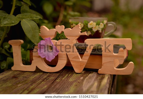 Wooden Letters Garden On Bench Words Stock Photo Edit Now 1510427021