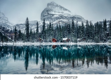 Wooden lodge in pine forest with heavy snow reflection on Lake O'hara at Yoho national park, Canada - Powered by Shutterstock