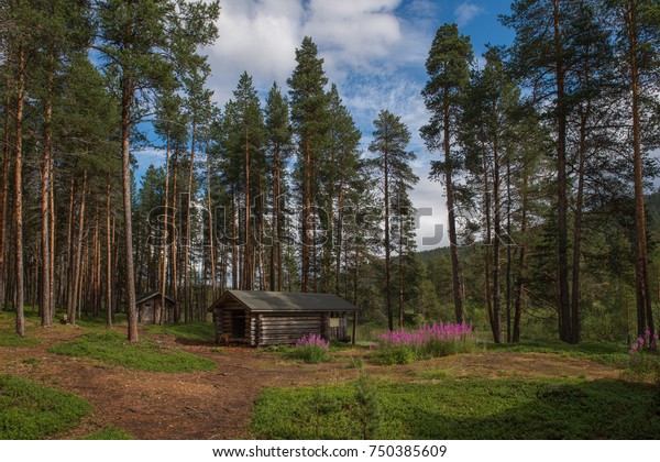 Wooden Log Cabins Woods Lemmenjoki National Stock Photo Edit Now