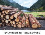 Wooden logs of pine woods in the forest, stacked in a pile in Dolomites. Freshly chopped tree logs stacked up on top of each other in a pile.