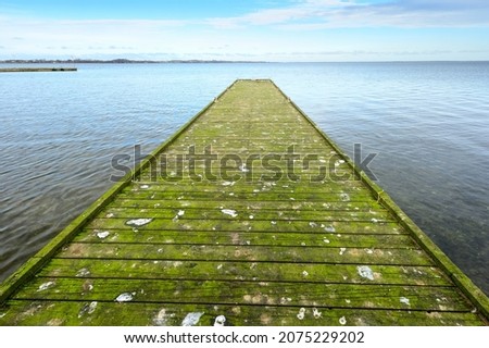 A wooden, long pier on the sea beach, all in bird droppings