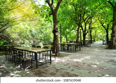 Wooden Long Table And Bench Under Tree Shade, Natural Garden Seat Idea.