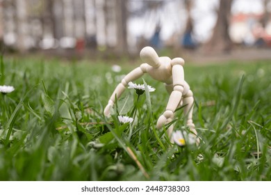 Wooden mannequin model bent over a wild daisy flower, in the green grass, soft focus close up concept - Powered by Shutterstock