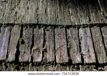wooden moss roof