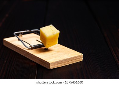 Wooden mousetrap with a piece of yellow cheese on a dark wooden background. Rodent trap. Catch the mouse. Rodent control. Sanitary service