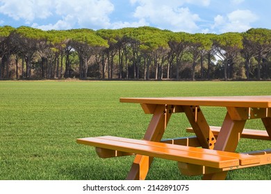 Wooden new picnic table on a green meadow of a public park with trees on background and cloudy sky - image with copy space