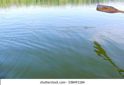 Wooden Oar, Water Drops And Ripples On The Surface.