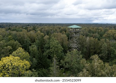 A wooden observation tower stands tall amid lush greenery with overcast skies above. - Powered by Shutterstock