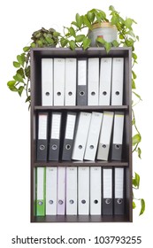 In a wooden office cabinet is  a lot of folders with old  paper mattered accounting files. Indoor plants in pots are in the closet. Isolated