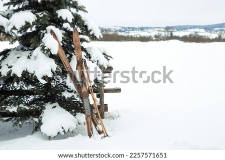 Wooden old fashioned skis and poles in the snow with snowy mountains and clear sky on background 商業照片 © 