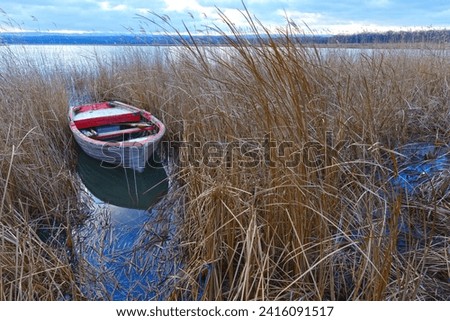 Wooden old white boat dinghy among the reeds in winter by the lake. Igneada national park, Mert Lake in Winter. Turkey. 2024. Dinghy rests at anchor in quiet water. Old Wooden Boat. Reeds and boat.