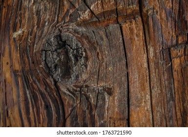 wooden old wood texture with a place from a branch