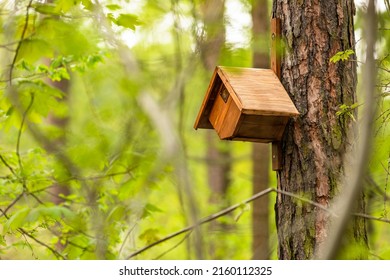 A wooden, orange colored, birdhouse, rhombus shape, attached to a tree bark. Springtime in a forest with fresh green leaves. 