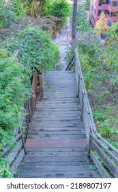 Wooden Outdoor Staircase On A Slope With Trees And Plants On The Side- San Francisco, CA. High Angle View Of A Stairs With Landings And A View Of A Red Building Below On The Right.