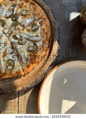 The Wooden oven pizza Mistry Imagine de stoc © 