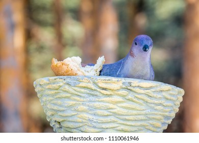 Wooden Painted Dove In Cottage With Piece Of White Bread In Spring Forest