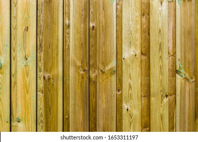 Wooden Palisade Pattern With Green Mold, Wood Problems, Garden Fence Background