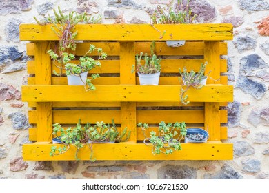 Wooden pallet attached to an old wall used as a flower vase. - Powered by Shutterstock