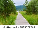 A wooden path around the beautiful pond Olsina. The Olsina pond near Horni Plana is one of the highest altitude ponds in Cezc republic
