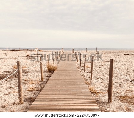 Wooden path with the beach with the sea in the background.summer beach concept.