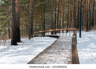 Wooden path in the forest with railings in winter. Places of mass recreation of people in nature. - Powered by Shutterstock