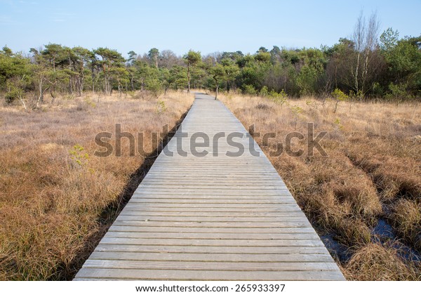 Wooden path in\
grass and forest leading through winters landscape. The wooden\
footpath divides the image in two almost identical and symmetrical\
parts. Concept of\
destination,walk,hike,nature,aim,goa,