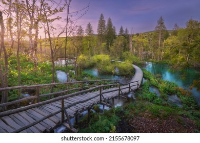 Wooden Path In Green Forest In Plitvice Lakes, Croatia At Sunset In Spring. Colorful Landscape With Stairs In Blooming Park, Trees, Water Lilies, River, Pink Sky In Summer. Trail In Woods. Nature