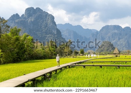wooden path with green rice field in Vang Vieng, Laos.
