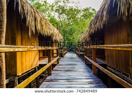 A wooden path in a jungle lodge surrounded by the green lush vegetation of the amazon rainforest in brazil, south america