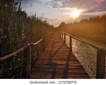 Wooden path over the swamp at summer sunset - Shutterstock ID 1172738776