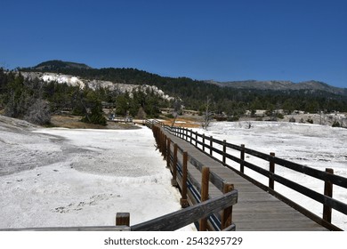 Wooden path past water springs. - Powered by Shutterstock