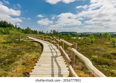 Wooden Path Through The Black Moor In The Rhön Mountains