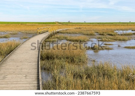 Similar – Image, Stock Photo Path into the Wadden Sea near Westerhever