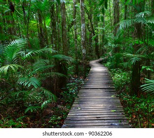 Wooden path in a tropical forest - Powered by Shutterstock