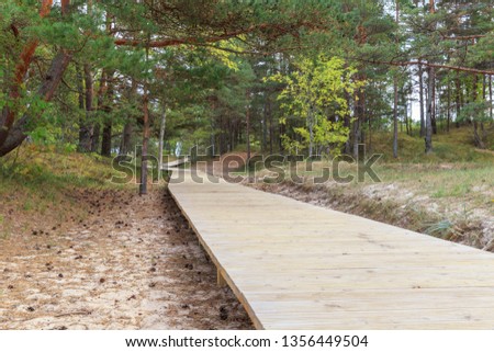 Wooden path, wooden walkway at Baltic sea over sand dunes with pine forest view.