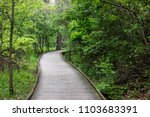Wooden path winding through Wildwood Metropark in Toledo Ohio near Ottawa Hills with green lush trees