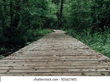 Wooden pathway among deciduous forest. Nature, way concept