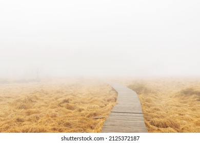 A Wooden Pathway Leading Into The Fog. Path To Nowhere, Uncertain Future Concept.