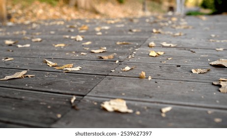 Wooden pathway in the park covered with colorful autumn leaves, creating a serene and tranquil atmosphere. Enjoy the vibrant scenery of this peaceful forest - Powered by Shutterstock