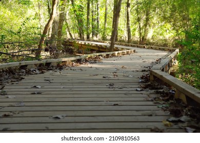 A wooden pathway though nature preserve